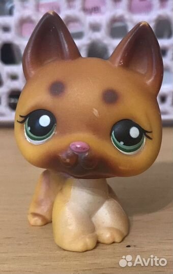 Littlest pet shop, lps dog