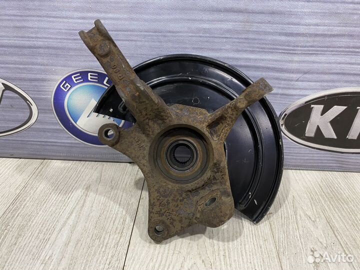 Кулак поворотный Цапфа Ступица в сборе Renault dus