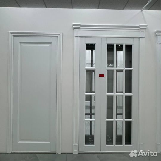 Двери дизайнерские v-8741