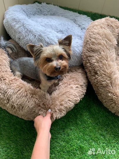 Лежанка пушистая