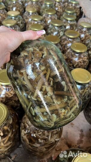 Грибы опята маринованные