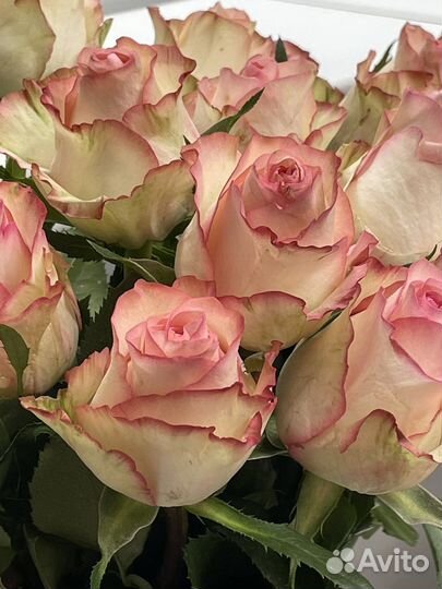 Букеты из 101 розы