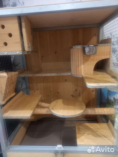 Витрина для шиншилл бу