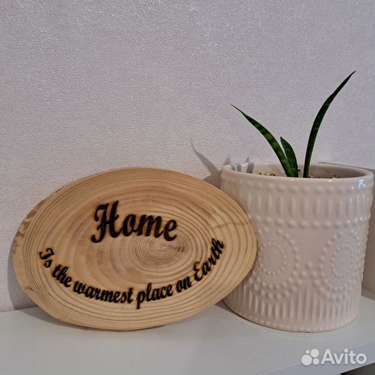 Срезы дерева обработанные для декора, для поделок