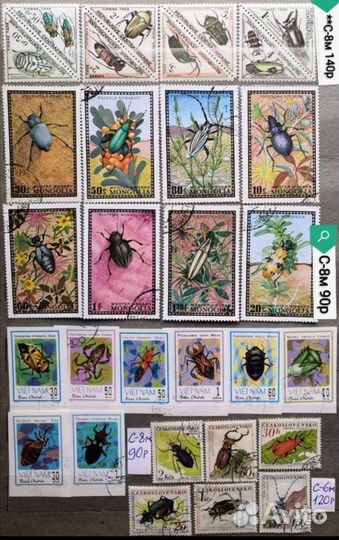 Подборка Фауна 6 собаки кошки. Сборник