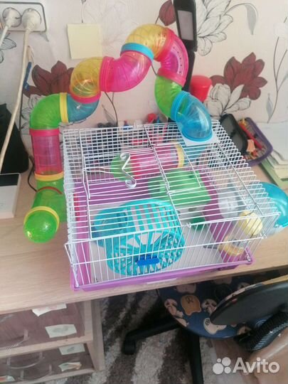 Клетка для грызунов бу