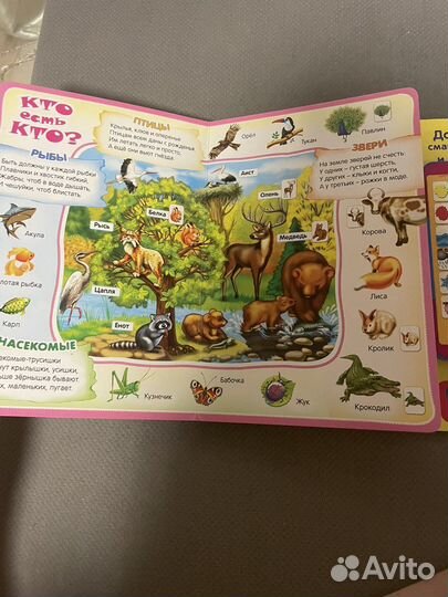 Книжка музыкальная