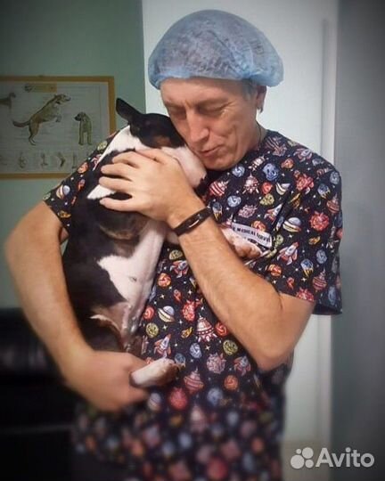 Ветеринарный врач