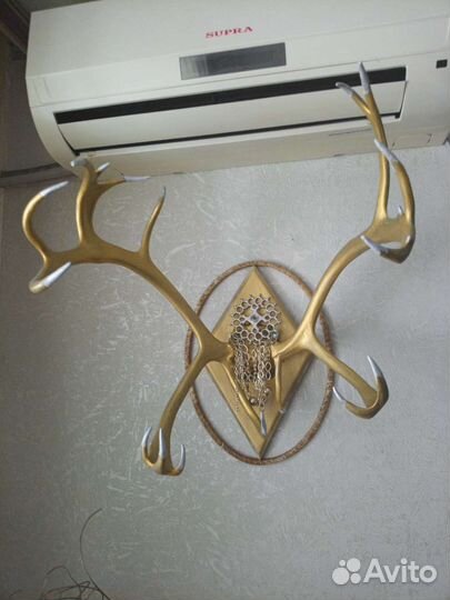 Продам рога оленя