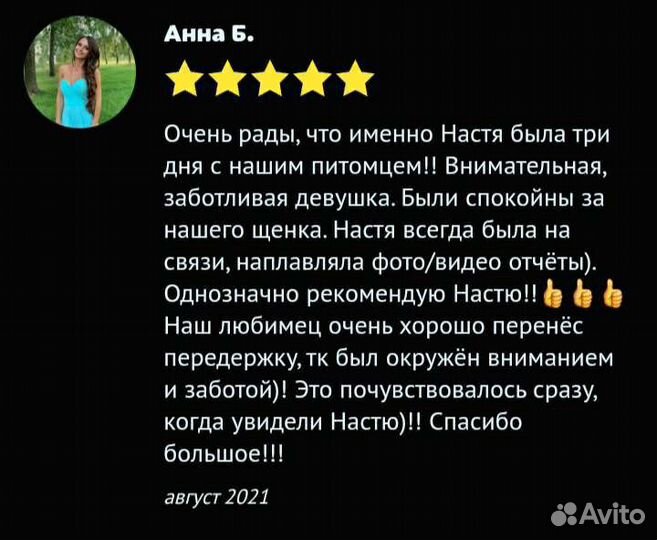 Передержка собак