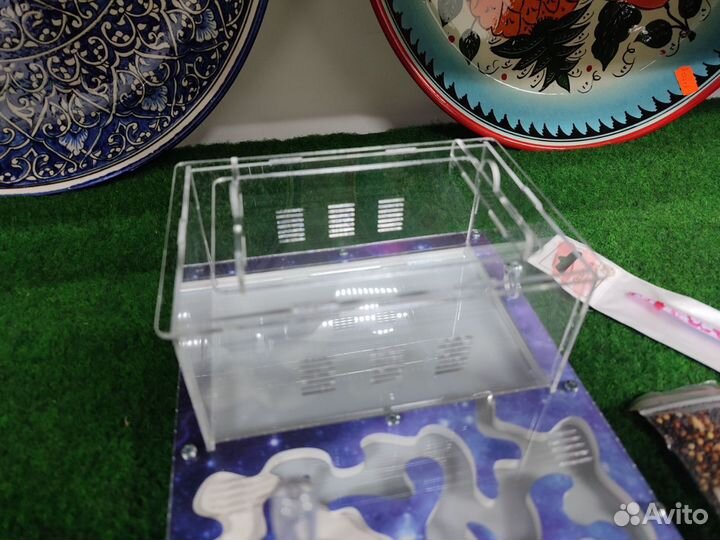 Муравьинная ферма