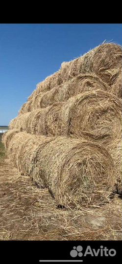 Сено, солома, доставка