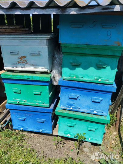 Ульи для пчел