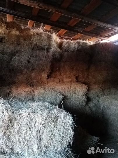 Продам сено разнотравье