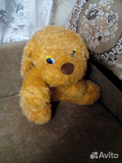 Медведи,собака