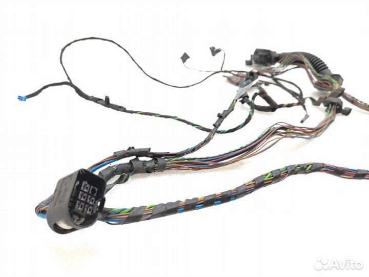 Проводка двери задняя левая Bmw X5 E70 N52B30 2008