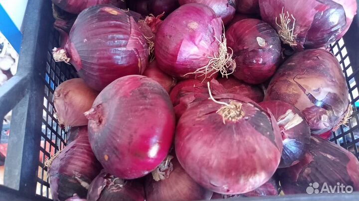 Продам готовую фирму ооо