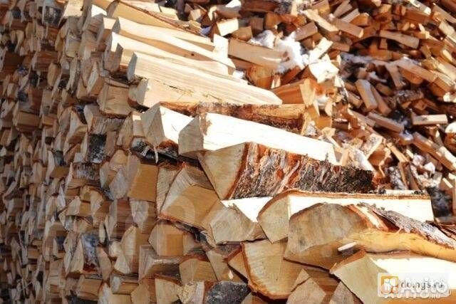 Дрова береза