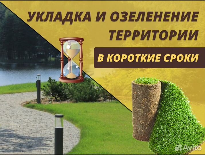 Рулонный газон Стандарт доставка укладка