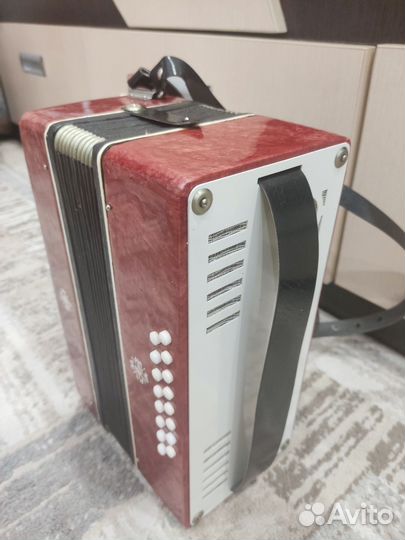 Аккордеон детский