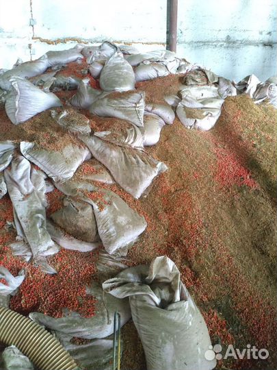 Отходы сои, семечки,кукуруза, гороховая полова