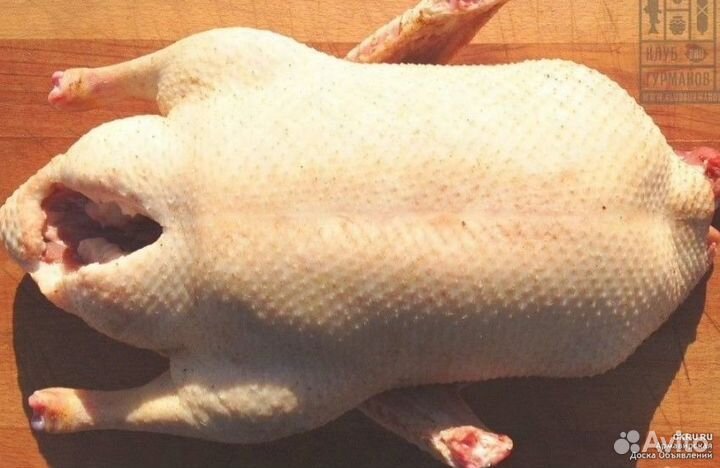 Мясо домашнего гуся