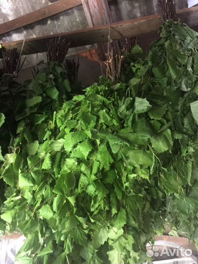 Веники березовые для бани