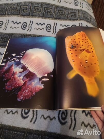 Водная раскраска