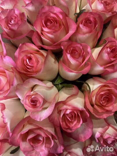 Букет из 45 роз