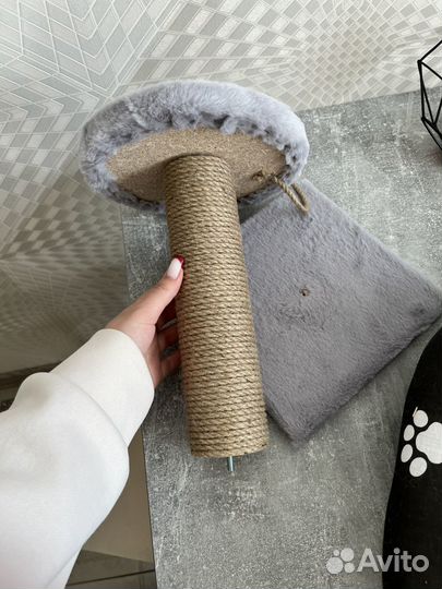 Когтеточка и лежанка для кошки