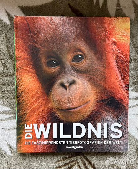 Книга на немецком языке Die Wildnis