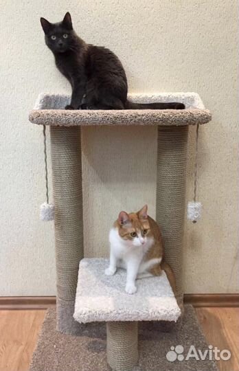 Комплекс когтеточек с лежанкой для кошки/кота