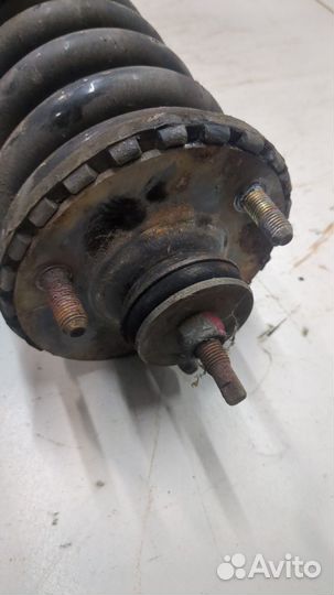 Амортизатор подвески SsangYong Rodius, 2005