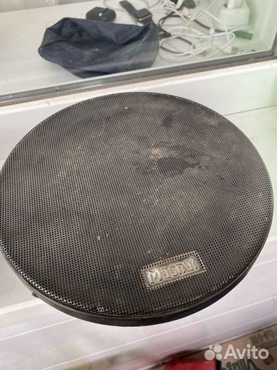 Динамики magnat