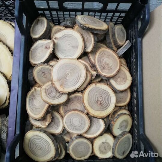 Спилы дерева