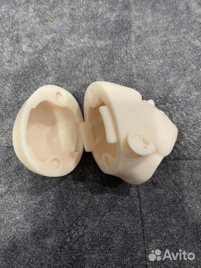 Голова бжд 1/3