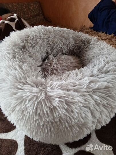 Лежанка для животных