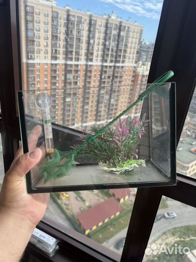 Аквариум маленький