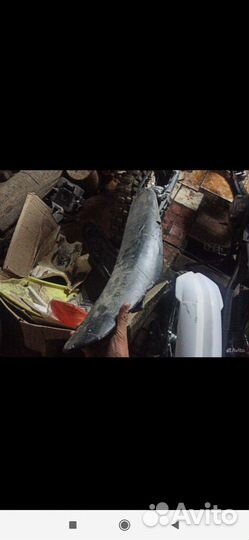 Запчасти motolend xr 250