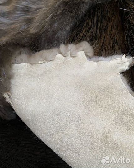 Шкура мех выделка Бобра Енота