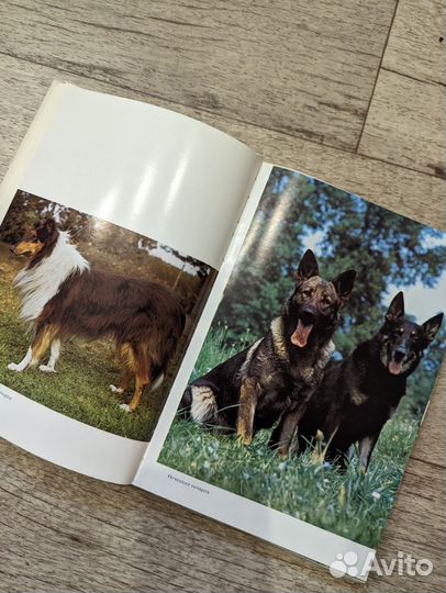 Атлас пород собак книга