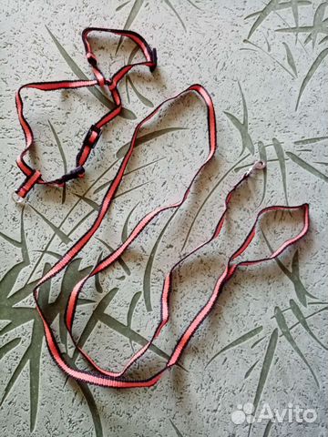 Поводок и шлейка для кошки