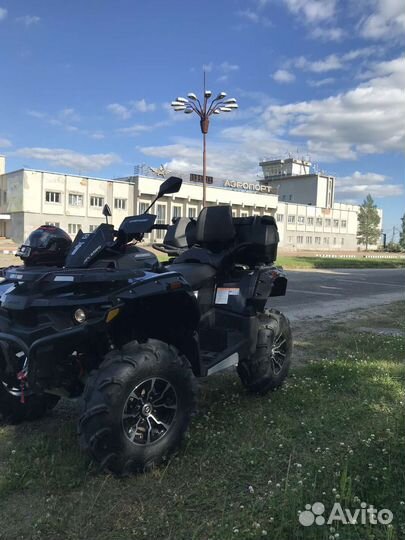 Стелс гепард