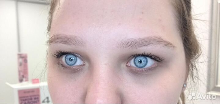 Мастер бровист