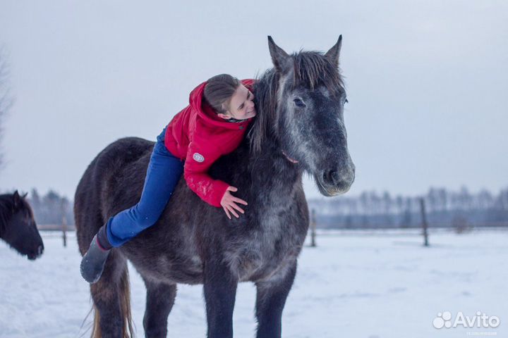Конные прогулки, обучение верховой езде, походы