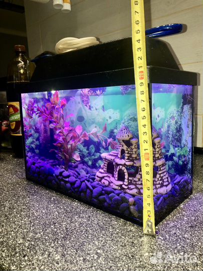 10 литров аквариум полный комплект