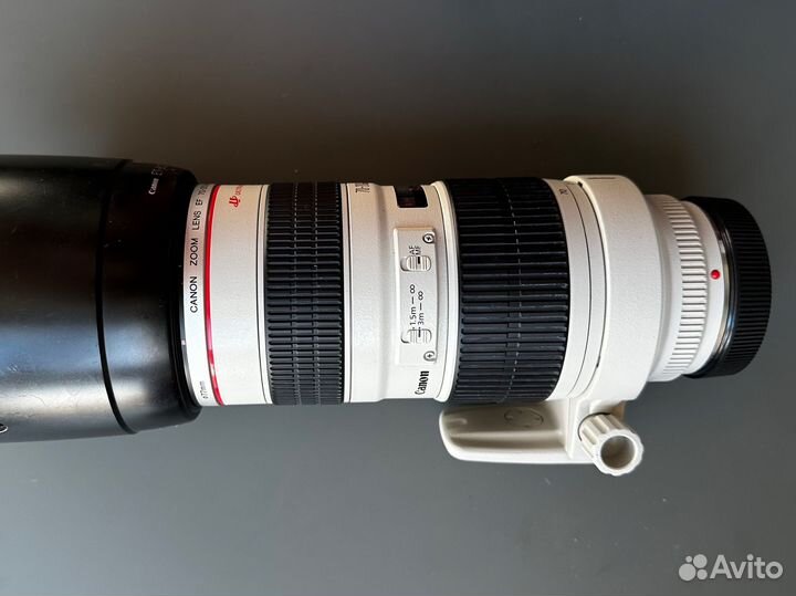 Canon Ef 70 200mm f 2.8l usm