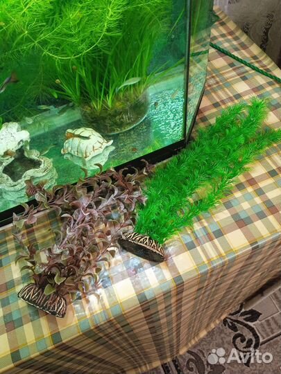 Для аквариума