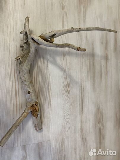 Коряги для аквариума