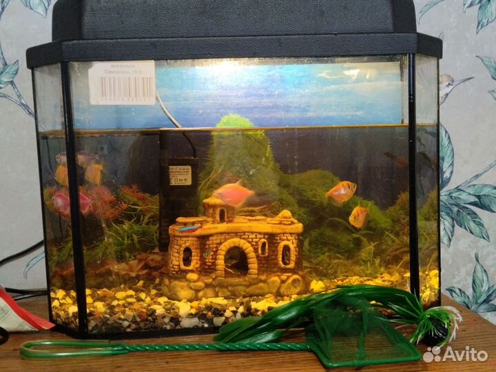 Аквариум с рыбками